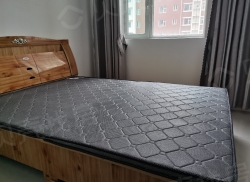 整租·新都花苑 2室2厅 南_新都花苑租房