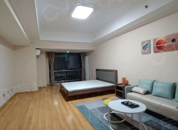 整租·万达广场 1室1厅 南_万达广场租房