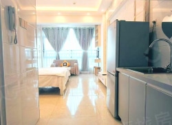 整租·长虹金域中央 1室1厅 南_长虹金域中央租房