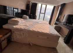 整租·中铁黎客国际酒店 1室1厅 东南_中铁黎客国际酒店租房