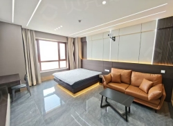 整租·里普利广场 1室0厅 南_里普利广场租房