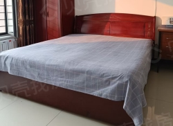 整租·万号公寓 1室1厅 南_万号公寓租房