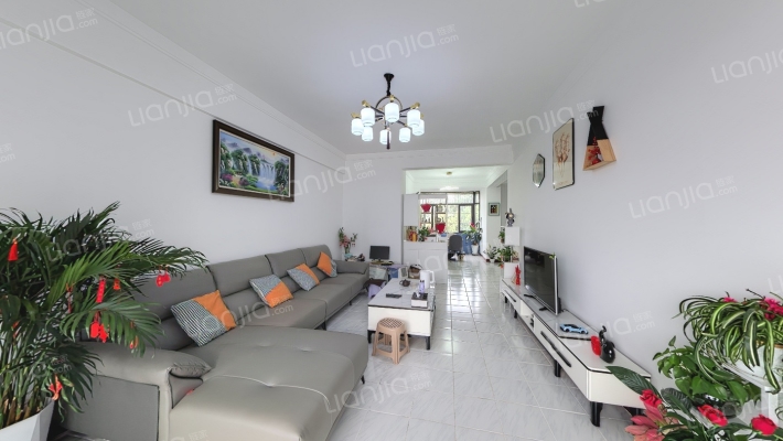 文化新村二手房实景图