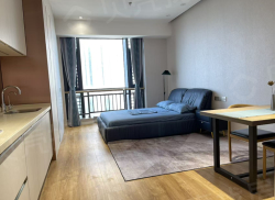 整租·世茂商务广场 1室1厅 南_世茂商务广场租房