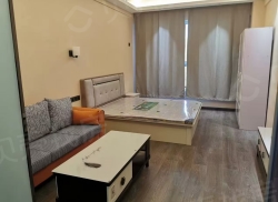 整租·领东新天地 1室1厅 南/北_领东新天地租房