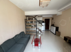 整租·龙跃国际 1室1厅 南_龙跃国际租房