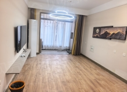 整租·鲁商知春湖乐养园 1室1厅 南_鲁商知春湖乐养园租房