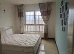 整租·轩苑盛世二期B区 2室2厅 南_轩苑盛世二期B区租房