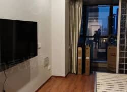 整租·嘉善万联城 1室1厅 南_嘉善万联城租房