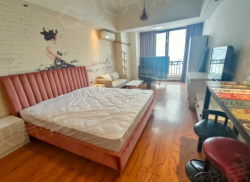 整租·万达晶座 1室1厅 南_万达晶座租房