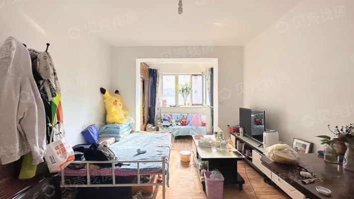 北京路小西沟成熟地段单身公寓好房-客厅