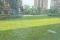 雅居乐国际花园 3室2厅 南