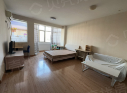 整租·新荷花园 1室1厅 北_新荷花园租房