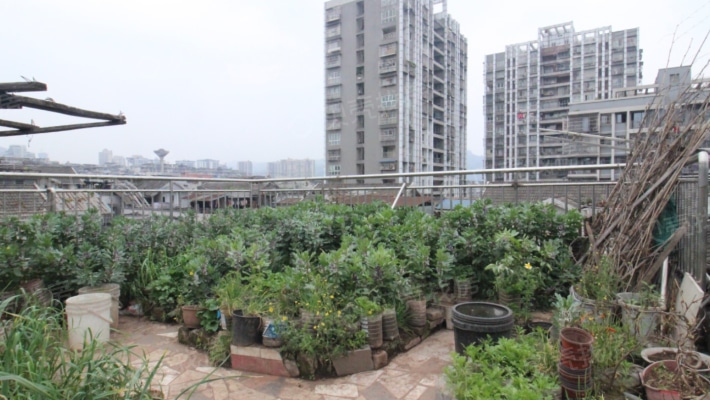 上江北，跃层带花园，住家装修，房东诚心出售-露台