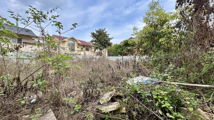 明日苑二手房实景图