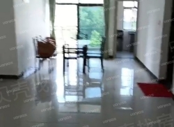 整租·椰海雅苑 4室2厅 南/北_椰海雅苑租房