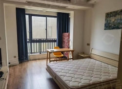 整租·耀圣通宝城 1室0厅 南_耀圣通宝城租房