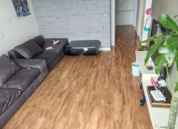 整租·五十三号家园 3室2厅 东南_五十三号家园租房