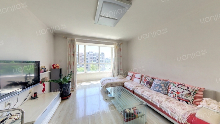 龙净都市晨光二手房实景图