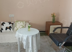 整租·百合金山 1室1厅 南/北_百合金山租房