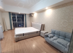 整租·万达广场B区 1室1厅 南_万达广场B区租房