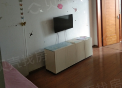 整租·湘域中央 1室1厅 南_湘域中央租房