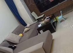 整租·永嘉天地 3室2厅 南_永嘉天地租房