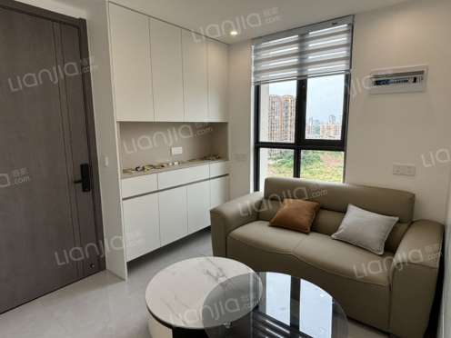 整租·新经济数字广场 1室1厅 南