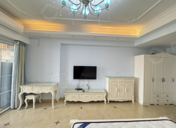 整租·新天地 1室1厅 北_新天地租房