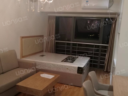 整租·盛泽国贸中心 1室1厅 西