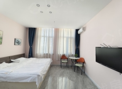 整租·墅公馆 1室1厅 南_墅公馆租房