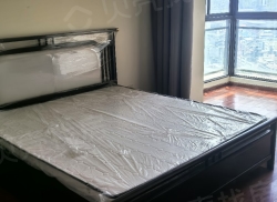 整租·鑫宏·丰泽苑 3室2厅 南_鑫宏·丰泽苑租房