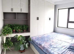 整租·伯益公园府 2室1厅 南/北_伯益公园府租房