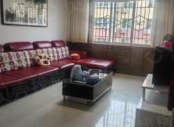 整租·百合花城 2室1厅 南_百合花城租房