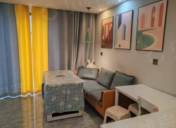 整租·实地蔷薇国际东区 2室1厅 南_实地蔷薇国际东区租房