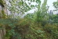 十里湖山独栋别墅上下四层两个院子