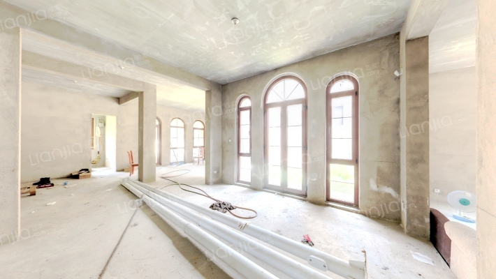 新湖仙林金谷别墅二手房实景图