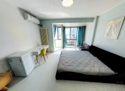 整租·元嘉国际公寓 1室0厅 东_元嘉国际公寓租房