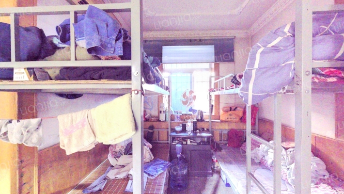 市政机械化分公司家属院二手房实景图