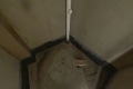 美盛白河湾 4室2厅 南 北