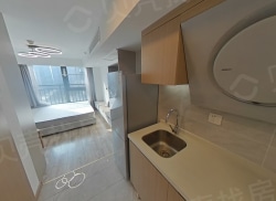 整租·雅颂市心府 1室1厅 南_雅颂市心府租房