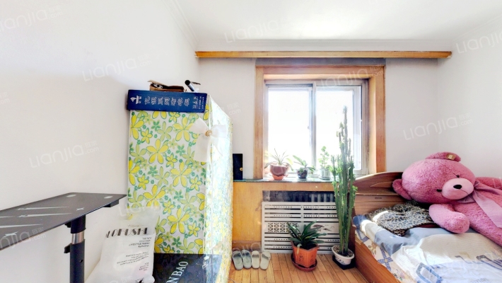 三棵小区二手房实景图