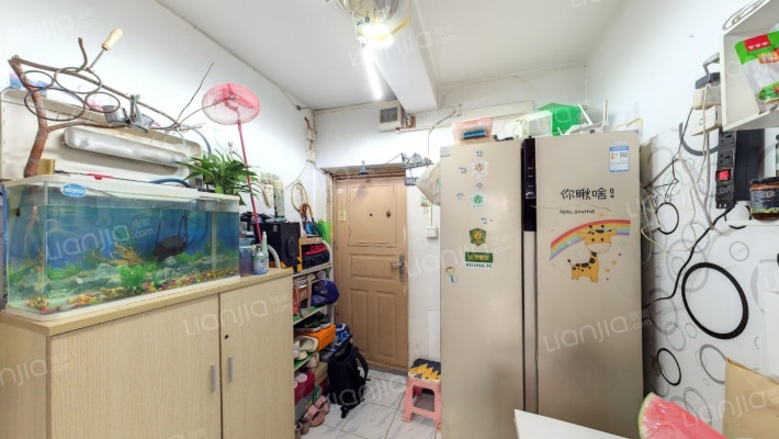 红星养鸡场宿舍楼二手房实景图