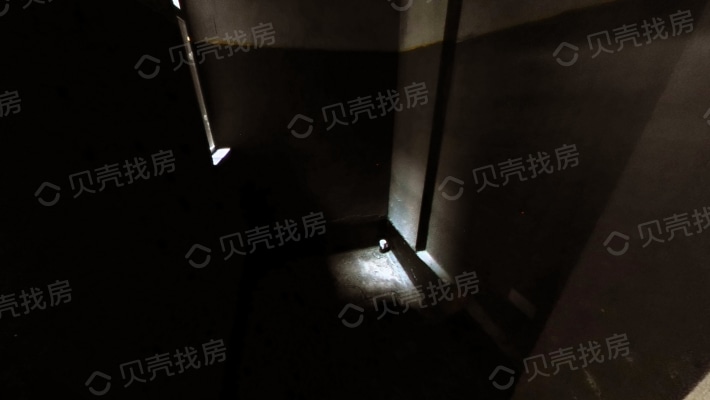 汉港观澜洋房复式带花园地下室空间大-卫生间