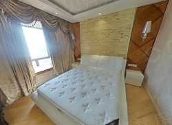 整租·新湖明珠城望湖苑 1室2厅 南_新湖明珠城望湖苑租房