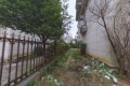 带花园 碧桂园翡翠山(别墅) 南北通透 产权清晰 毛坯