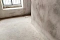 碧桂园珑悦观邸 3室2厅 东南