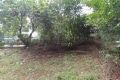 带花园 碧桂园翡翠山(别墅) 南北通透 产权清晰 毛坯