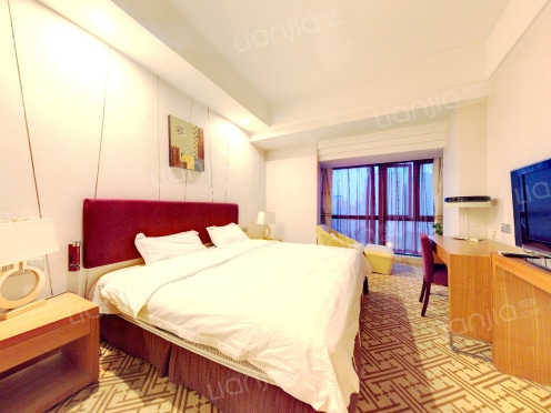 整租·雅戈尔YAKR公馆 1室1厅 南