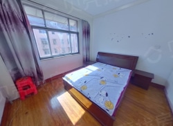 整租·竹园公寓 2室1厅 南_竹园公寓租房